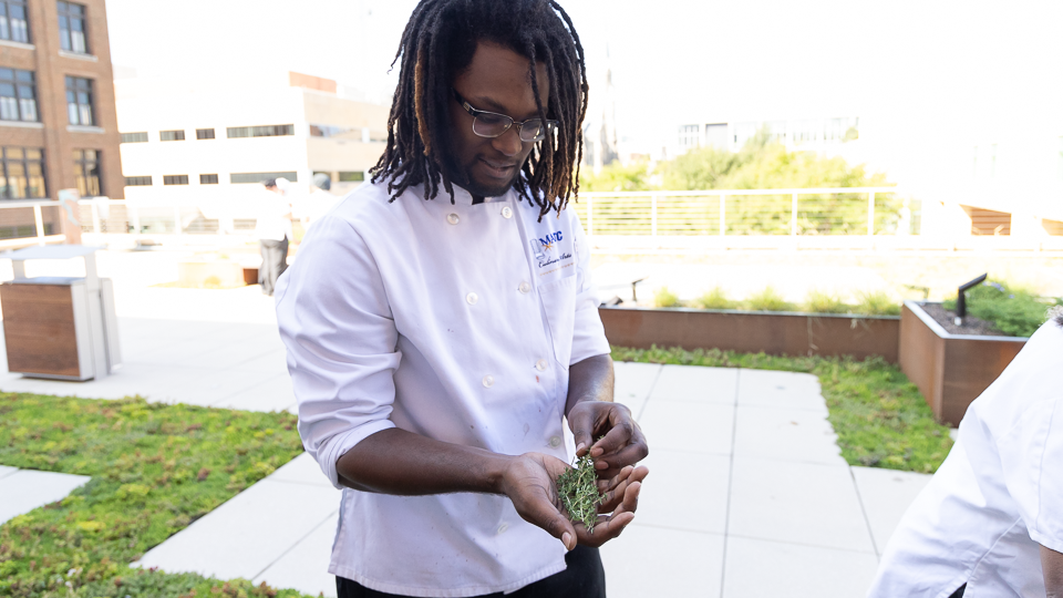 Student inspecting freshly cut herbs