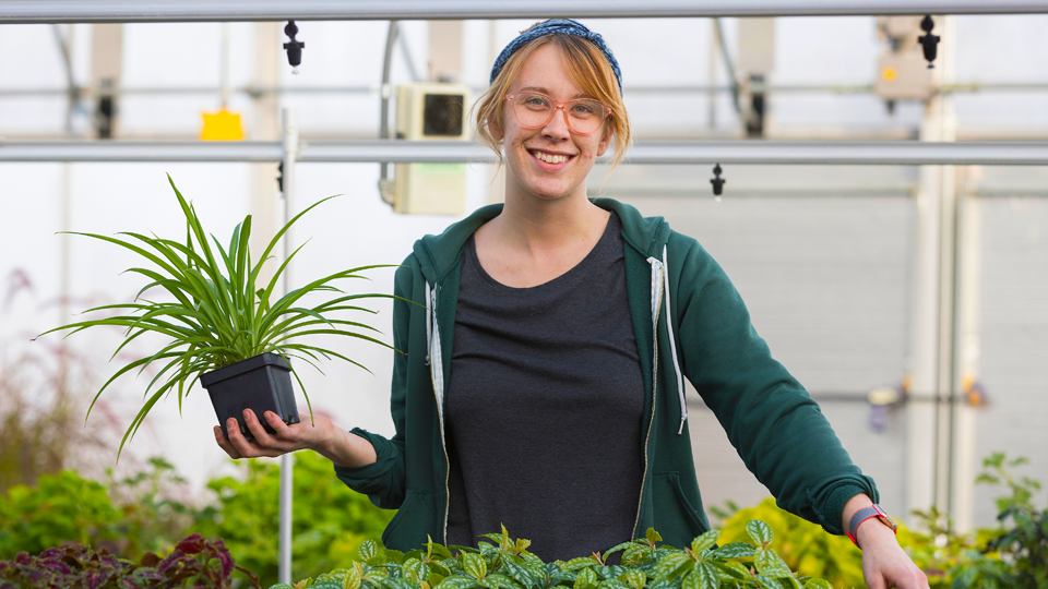 Lady holding a plant