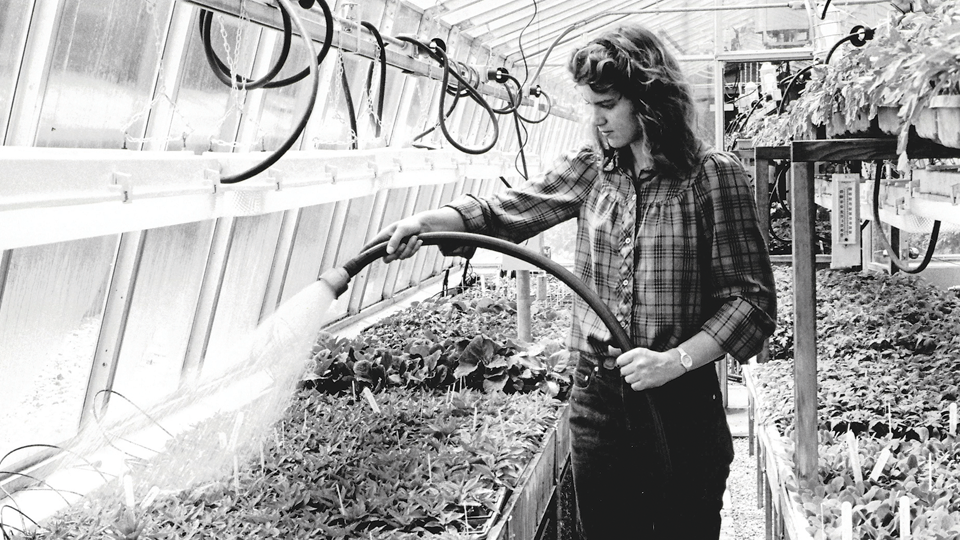 Woman watering plants