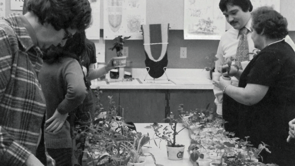 people looking at plants